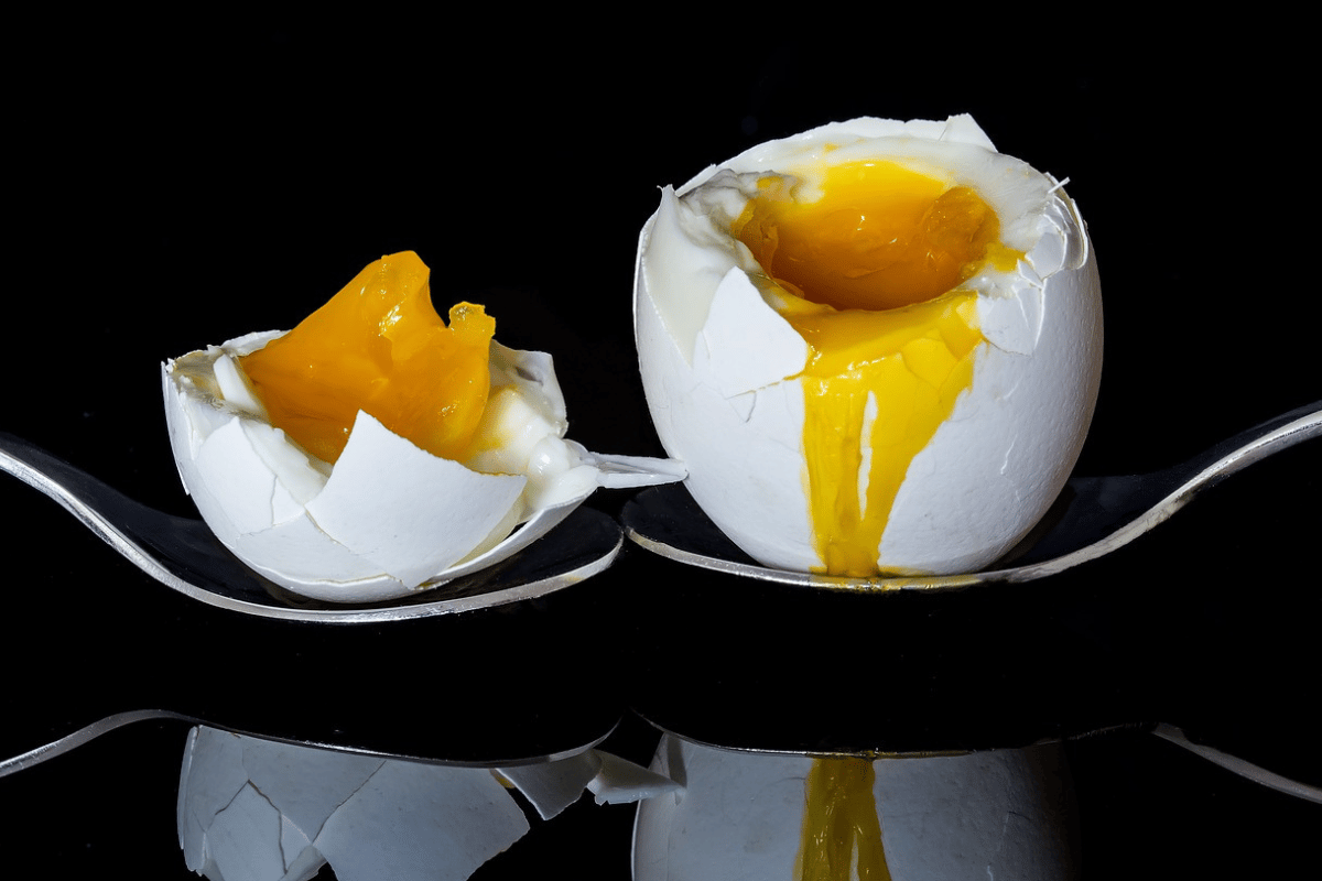 Imagem de diferentes tipos de carne, frango, peixe e ovos: "Fontes de proteína animal para incluir em sua dieta