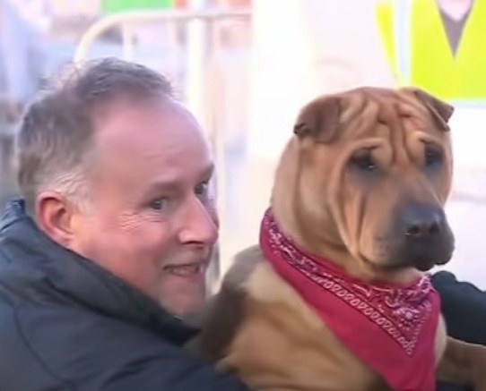 1689975325_442_Cachorro-com-olhos-mais-tristes-e-abandonado-em-estacao-de Cachorro com 'olhos mais tristes' é abandonado em estação de trem amarrado a sacola cheia de 'pertences favoritos'