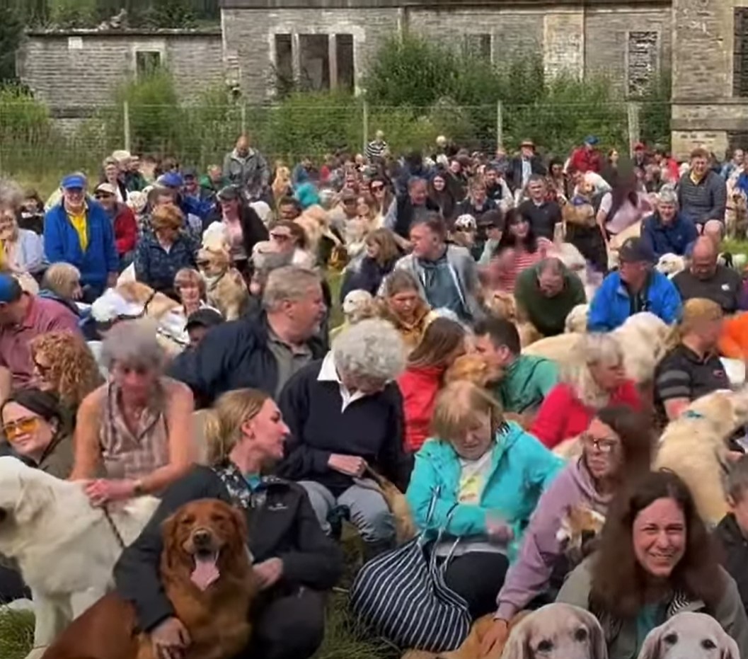 1689975625_113_Centenas-de-Golden-Retrievers-se-reunem-na-Escocia-de-todo Centenas de Golden Retrievers se reúnem na Escócia de todo o mundo para seu aniversário