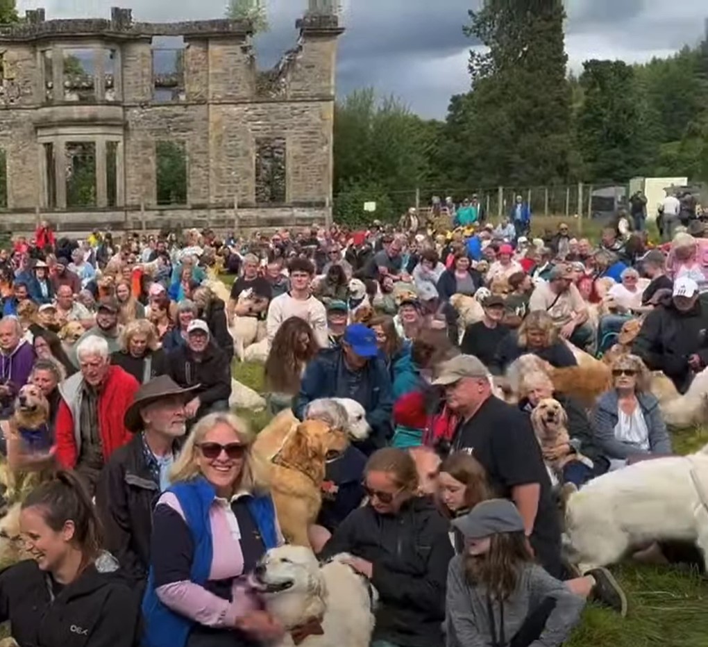 1689975625_753_Centenas-de-Golden-Retrievers-se-reunem-na-Escocia-de-todo Centenas de Golden Retrievers se reúnem na Escócia de todo o mundo para seu aniversário