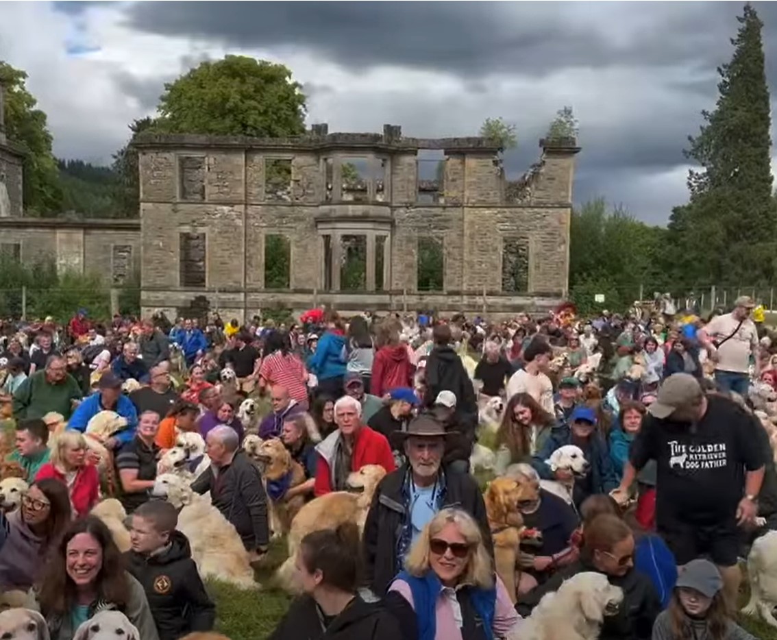 1689975625_799_Centenas-de-Golden-Retrievers-se-reunem-na-Escocia-de-todo Centenas de Golden Retrievers se reúnem na Escócia de todo o mundo para seu aniversário