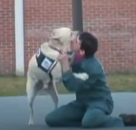 1689975839_284_Homem-visita-prisao-com-cao-de-servico-soltando-o-da-coleira Homem visita prisão com cão de serviço soltando-o da coleira ao sentir cheiro de presidiário à distância