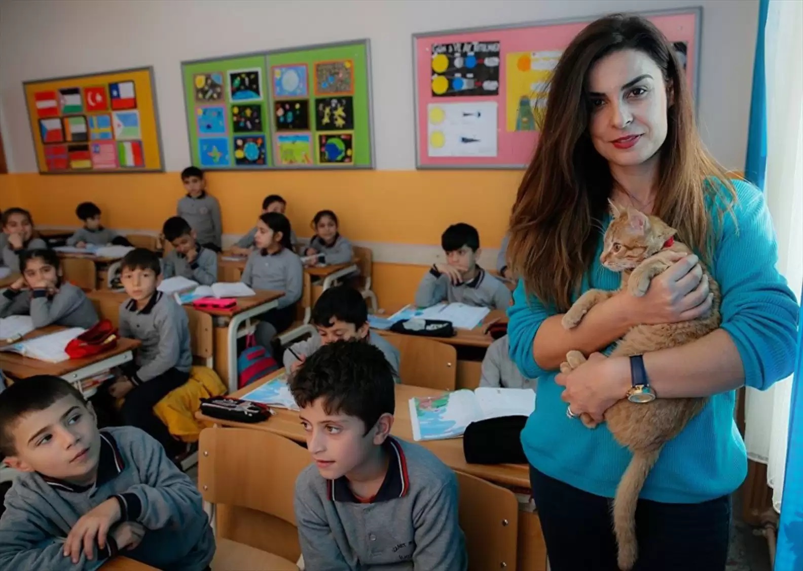 1689976666_769_Gatinho-invade-aula-da-3a-serie-e-decide-que-vai Gatinho invade aula da 3ª série e decide que vai ficar para sempre