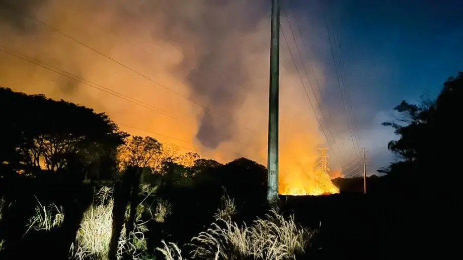 Incendio-criminoso-destroi-quase-20-hectares-de-mata-e-ameaca.png&w=1920&q=75 Incêndio criminoso destrói quase 20 hectares de mata e ameaça animais nativos na reserva da CESP