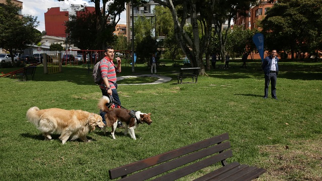 Preocupacao-com-a-ameaca-de-envenenamento-em-massa-de-caes Preocupação com a ameaça de envenenamento em massa de cães