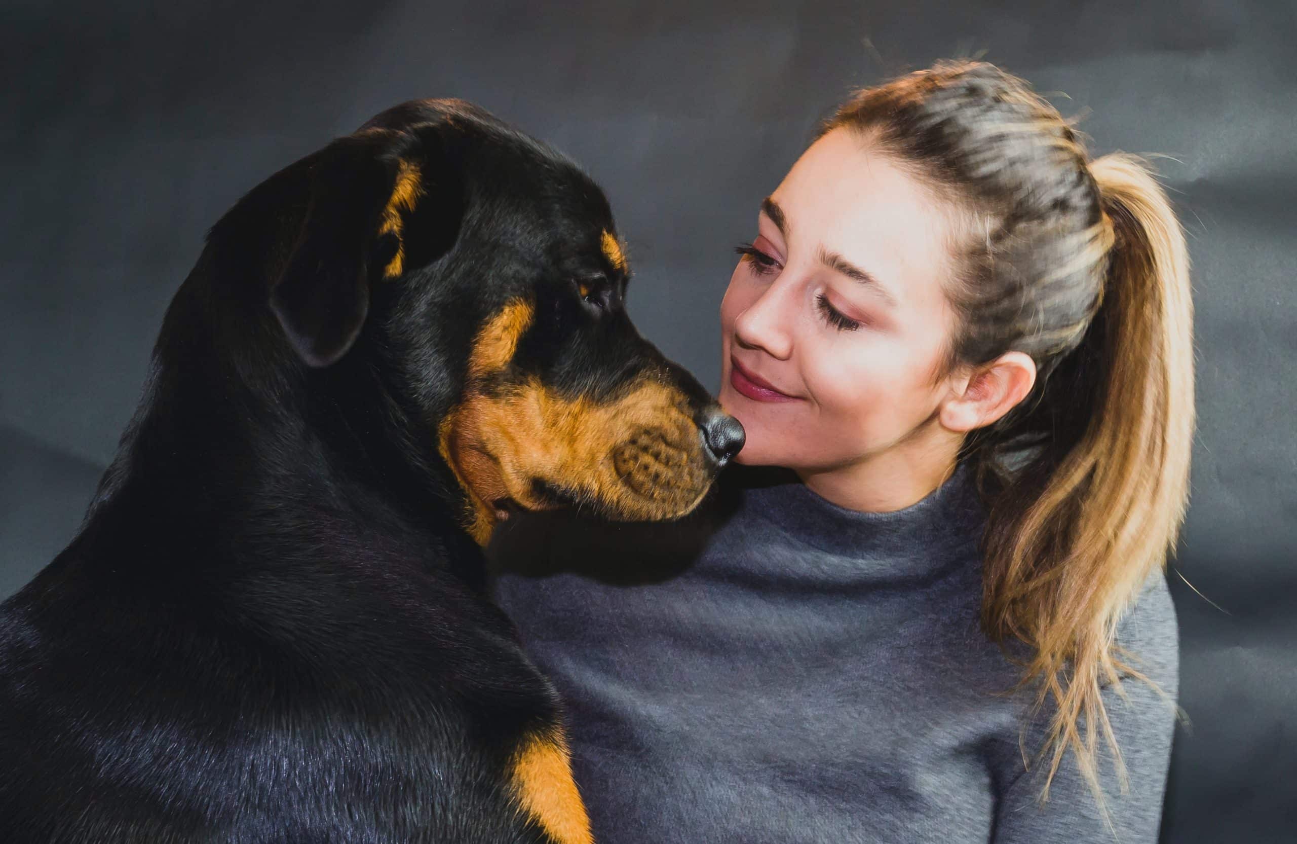 Qual é o melhor cão de guarda