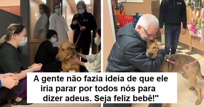 Um cãozinho de abrigo que se despediu dos funcionários após ser adotado