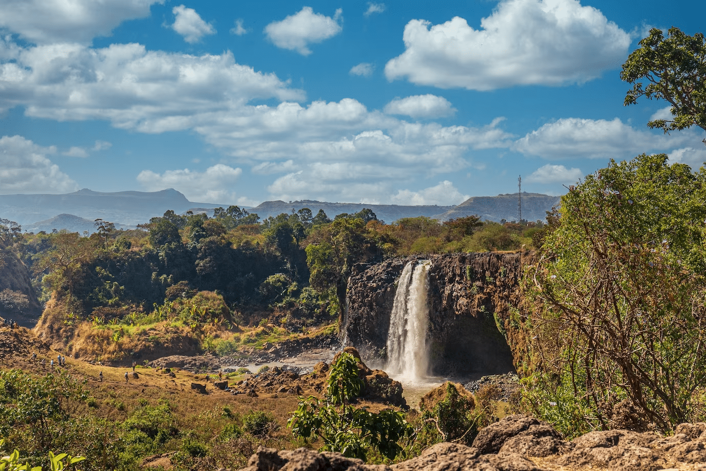 Pesquisa explora a diversidade evolutiva da flora em condições extremas