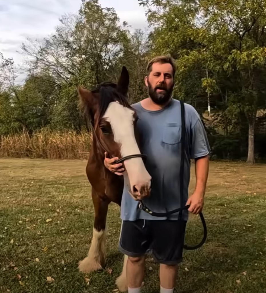 1696705735_470_Homem-leva-seu-cavalo-para-dar-um-ultimo-mergulho-antes Homem leva seu cavalo para dar um último mergulho antes do verão acabar e as imagens subaquáticas são lindas