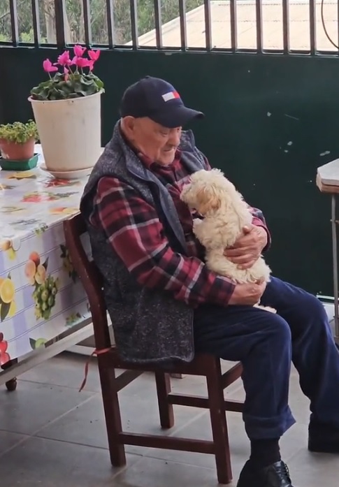 1696959781_166_Vovo-deprimido-de-96-anos-comeca-a-‘envelhecer-ao-contrario Vovô deprimido de 96 anos começa a ‘envelhecer ao contrário’ depois que um novo cachorrinho entra em sua vida