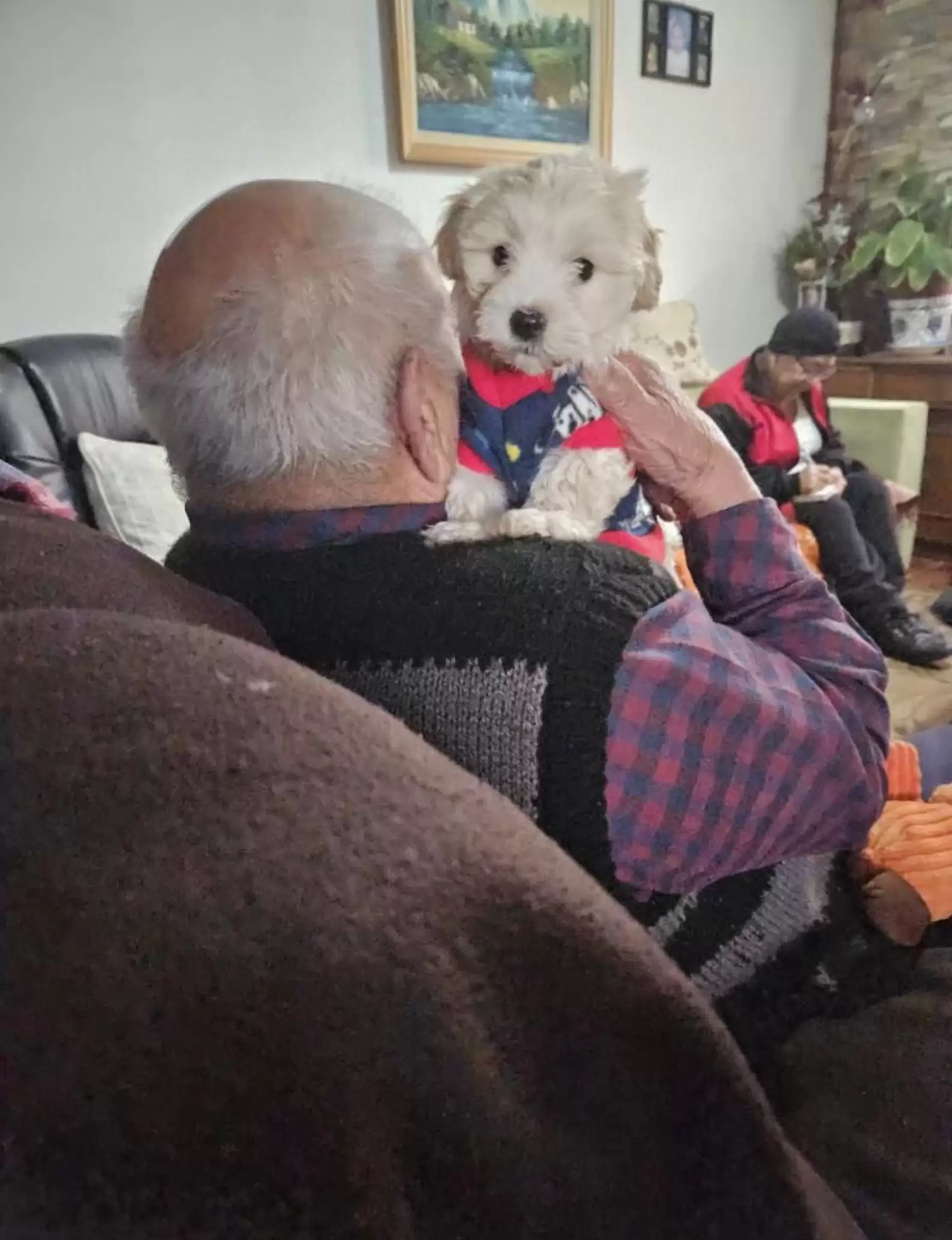 1696959781_874_Vovo-deprimido-de-96-anos-comeca-a-‘envelhecer-ao-contrario Vovô deprimido de 96 anos começa a ‘envelhecer ao contrário’ depois que um novo cachorrinho entra em sua vida