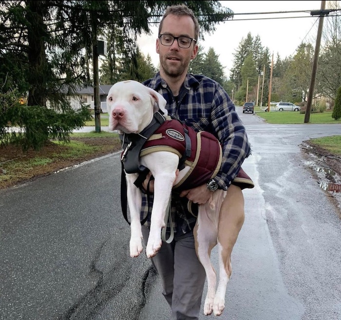 1697128672_835_Rescue-Pittie-ve-a-mae-chateada-e-encontra-a-maneira Rescue Pittie vê a mãe chateada e encontra a maneira 'mais fofa' de ajudar a confortá-la