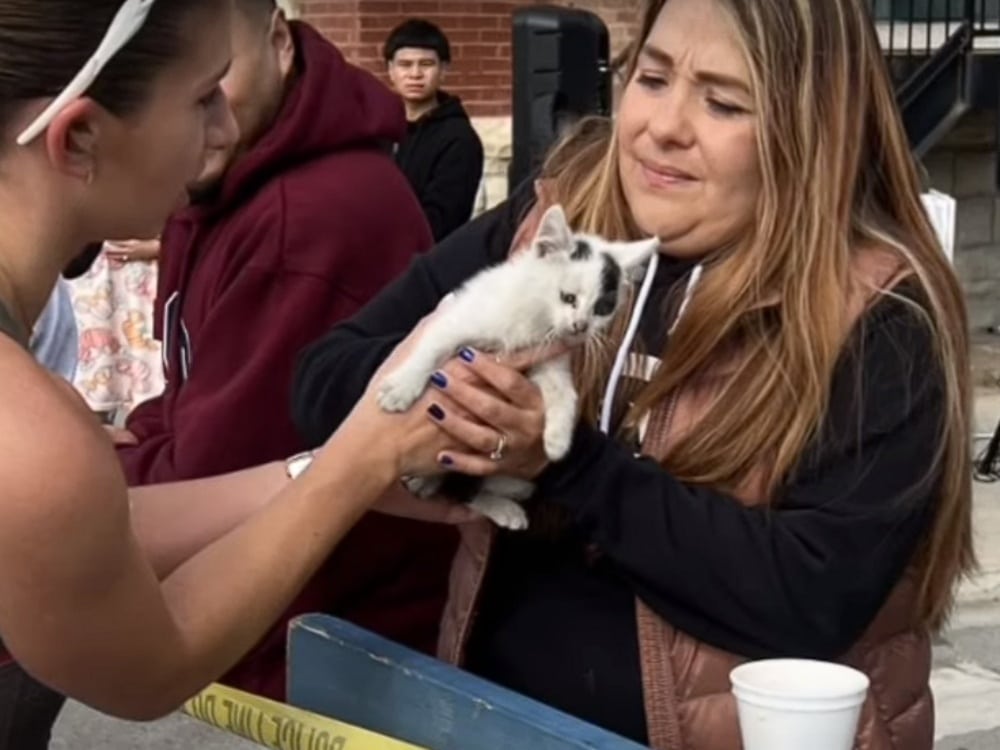 Corredor de maratona vê gatinho perdido ‘indefeso’ ao lado do percurso e pula para ajudar