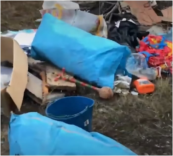 Equipes de resgate encontram o ‘bebê’ mais doce deixado em uma fazenda abandonada ‘como lixo’ e prometem salvá-lo