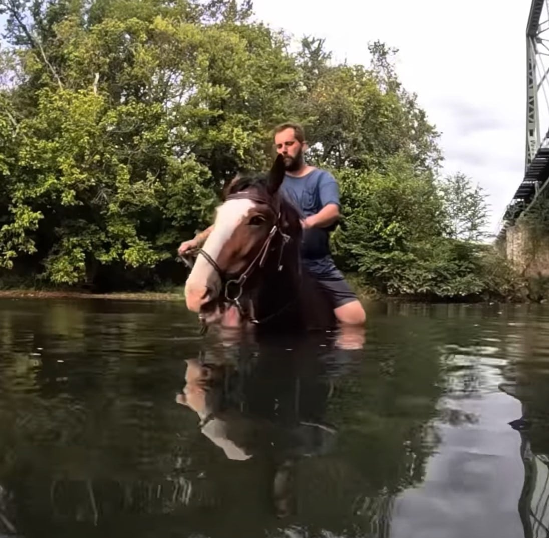 Homem leva seu cavalo para dar um último mergulho antes do verão acabar e as imagens subaquáticas são lindas