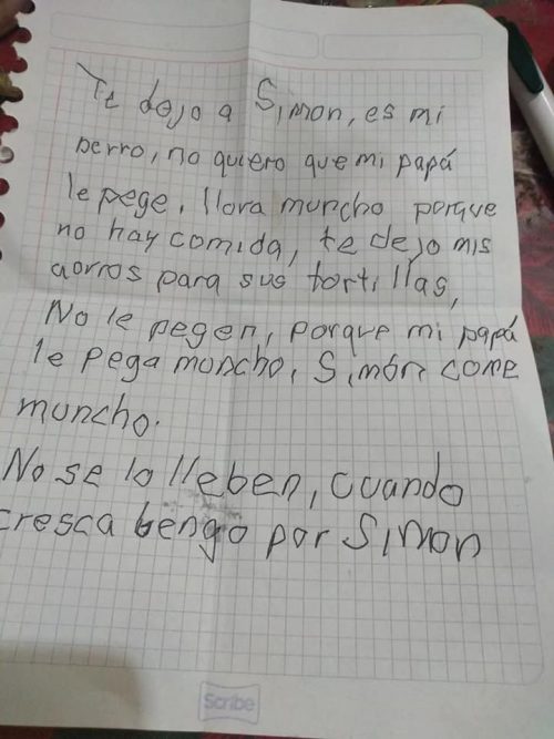 1722069970_145_O-cachorrinho-que-um-menino-arrasado-deixou-em-um-abrigo O cachorrinho que um menino arrasado deixou em um abrigo para não apanhar mais cresceu