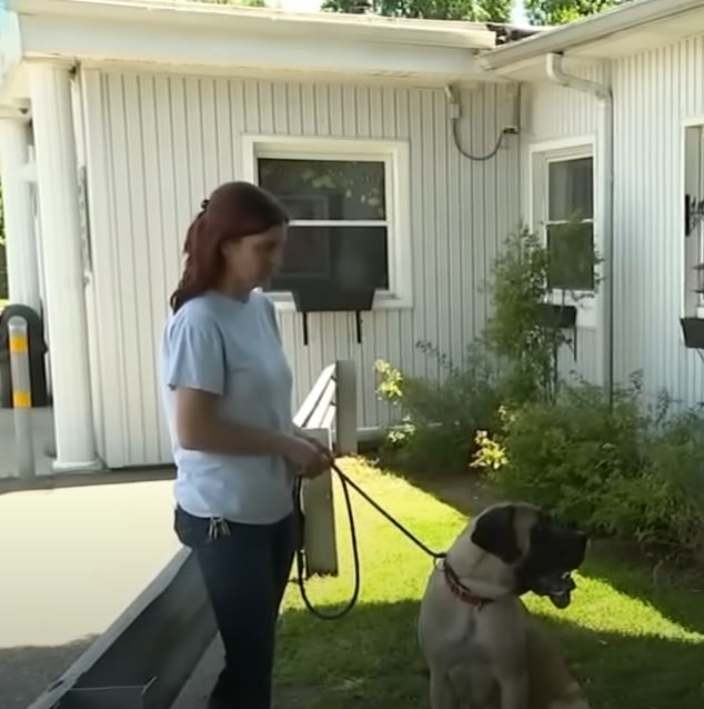 1722097936_218_Cao-assustado-e-encontrado-amarrado-a-poste-na-rodovia-com Cão assustado é encontrado amarrado a poste na rodovia com bilhete de partir o coração explicando o motivo