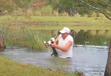 1722105924_190_Camera-filma-momento-emocionante-em-que-pai-luta-com-jacare Câmera filma momento emocionante em que pai luta com jacaré para salvar seu filhote